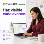 Project 2019 Professional - Imagen 5