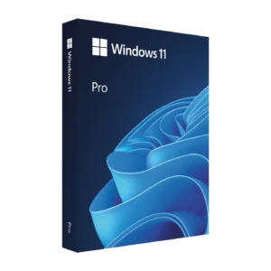 Windows 11 Pro