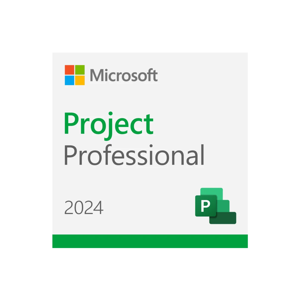 Project 2024 Professional