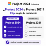 Project 2024 Professional - Imagen 6